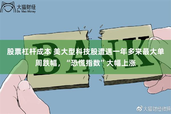 股票杠杆成本 美大型科技股遭遇一年多来最大单周跌幅，“恐慌指数”大幅上涨
